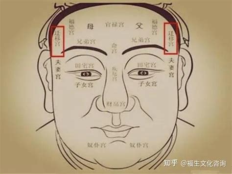 面相12宮